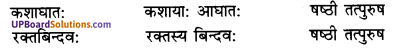 UP Board Solutions for Class 10 Hindi Chapter 5 देशभक्त: चन्द्रशेखरः (संस्कृत-खण्ड) img-6