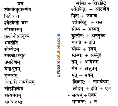 UP Board Solutions for Class 10 Hindi Chapter 7 छान्दोग्य उपनिषद् षष्ठोध्यायः (संस्कृत-खण्ड) img-2