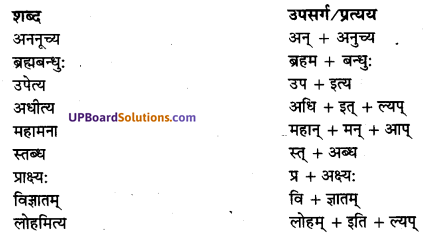 UP Board Solutions for Class 10 Hindi Chapter 7 छान्दोग्य उपनिषद् षष्ठोध्यायः (संस्कृत-खण्ड) img-3