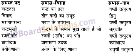 UP Board Solutions for Class 10 Hindi Chapter 7 पानी में चंदा और चाँद पर आदमी (गद्य खंड) img-1