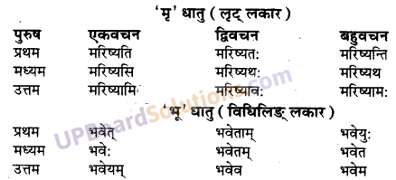 UP Board Solutions for Class 10 Hindi Chapter 9 जीवन-सूत्राणि (संस्कृत-खण्ड) img-4