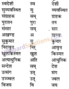 UP Board Solutions for Class 10 Hindi उपसर्ग img-10