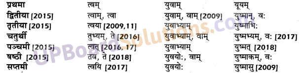 UP Board Solutions for Class 10 Hindi शब्द-रूप img-10