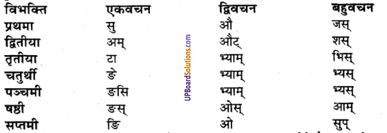 UP Board Solutions for Class 9 Sanskrit Chapter 3 शब्द-रूप प्रकरण (व्याकरण)