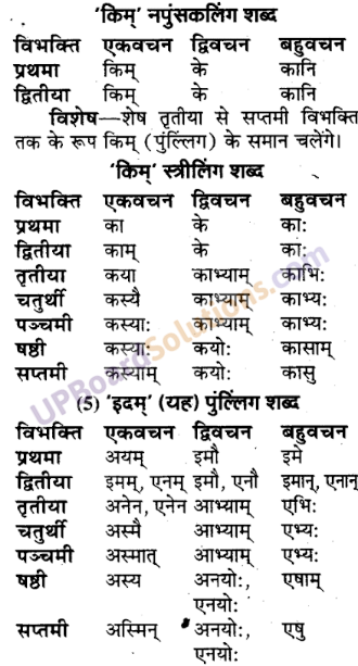 UP Board Solutions for Class 9 Sanskrit Chapter 3 शब्द-रूप प्रकरण (व्याकरण)