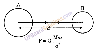 UP Board Solutions for Class 9 Science Chapter 10 Gravitation 