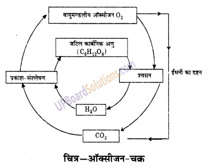 UP Board Solutions for Class 9 Science Chapter 14 Natural Resources 1