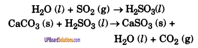 UP Board Solutions for Class 9 Science Chapter 14 Natural Resources 1