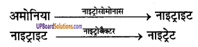 UP Board Solutions for Class 9 Science Chapter 14 Natural Resources 1