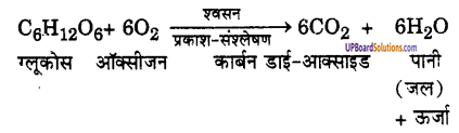 UP Board Solutions for Class 9 Science Chapter 14 Natural Resources 1