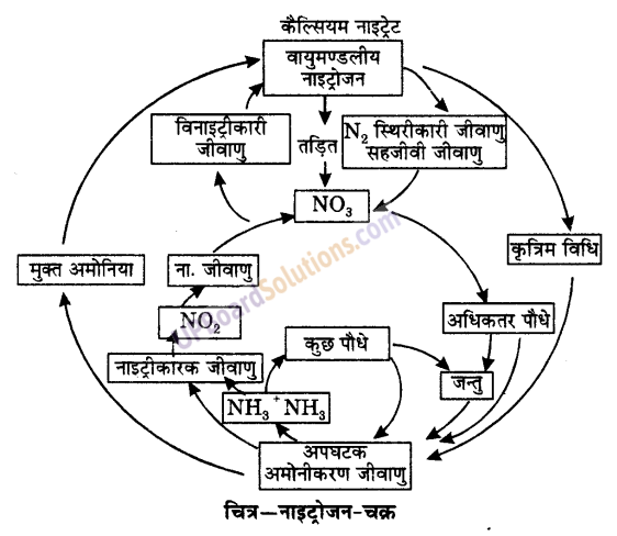 UP Board Solutions for Class 9 Science Chapter 14 Natural Resources 1