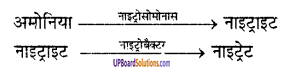 UP Board Solutions for Class 9 Science Chapter 14 Natural Resources 1