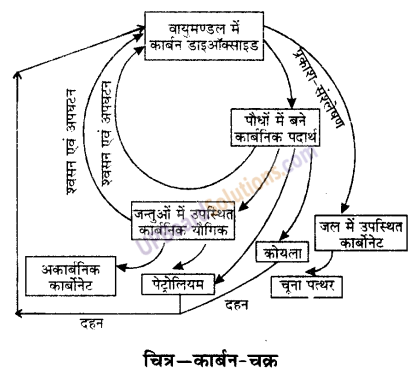 UP Board Solutions for Class 9 Science Chapter 14 Natural Resources 1
