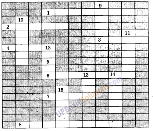 UP Board Solutions for Class 9 Social Science Geography Chapter 3 अपवाह