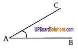 Balaji Class 9 Maths Solutions Chapter 10 Lines and Angle Ex 10.1