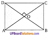 Balaji Class 9 Maths Solutions Chapter 13 Quadrilateral Ex 13.4