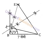 Balaji Class 9 Maths Solutions Chapter 16 Constructions Ex 16.1