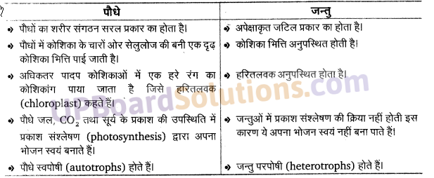 UP Board Solutions for Class 11 Biology Chapter 1 The Living World image 2