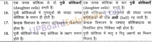 UP Board Solutions for Class 11 Biology Chapter 10 Cell Cycle And Cell Division image 2
