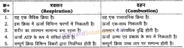 UP Board Solutions for Class 11 Biology Chapter 14 Respiration in Plants image 1