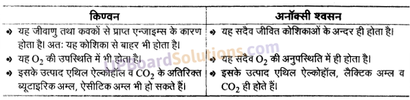 UP Board Solutions for Class 11 Biology Chapter 14 Respiration in Plants image 20