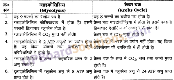 UP Board Solutions for Class 11 Biology Chapter 14 Respiration in Plants image 2