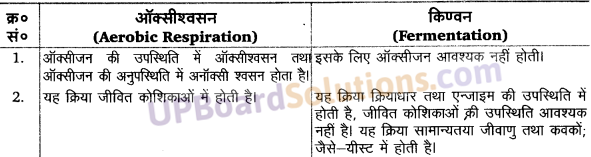 UP Board Solutions for Class 11 Biology Chapter 14 Respiration in Plants image 3