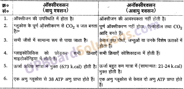 UP Board Solutions for Class 11 Biology Chapter 14 Respiration in Plants image 13