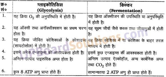 UP Board Solutions for Class 11 Biology Chapter 14 Respiration in Plants image 14