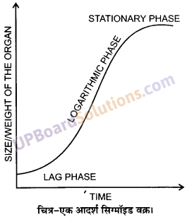 UP Board Solutions for Class 11 Biology Chapter 15 Plant Growth and Development image 2