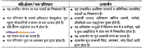 UP Board Solutions for Class 11 Biology Chapter 19 Excretory Products and their Elimination image 2