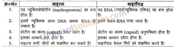 UP Board Solutions for Class 11 Biology Chapter 2 Biological Classification image 1