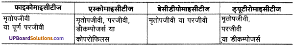 UP Board Solutions for Class 11 Biology Chapter 2 Biological Classification image 4