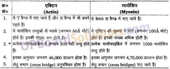 UP Board Solutions for Class 11 Biology Chapter 20 Locomotion and Movement image 6