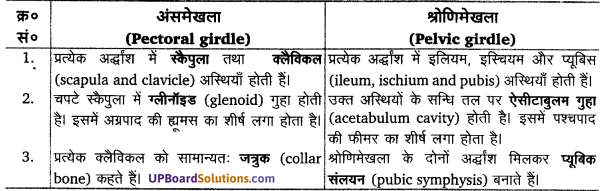 UP Board Solutions for Class 11 Biology Chapter 20 Locomotion and Movement image 9