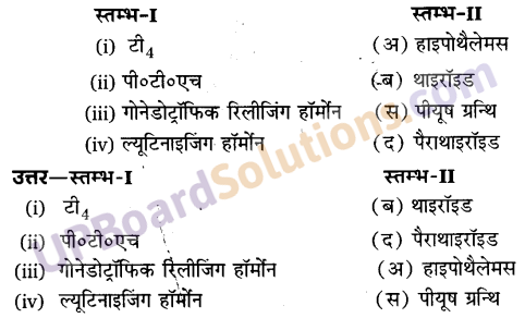 UP Board Solutions for Class 11 Biology Chapter 22 Chemical Coordination and Integration image 3
