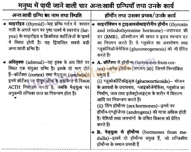 UP Board Solutions for Class 11 Biology Chapter 22 Chemical Coordination and Integration image 6