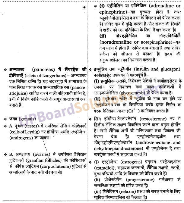 UP Board Solutions for Class 11 Biology Chapter 22 Chemical Coordination and Integration image 7