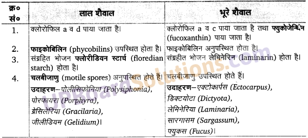 UP Board Solutions for Class 11 Biology Chapter 3 Plant Kingdom image 2