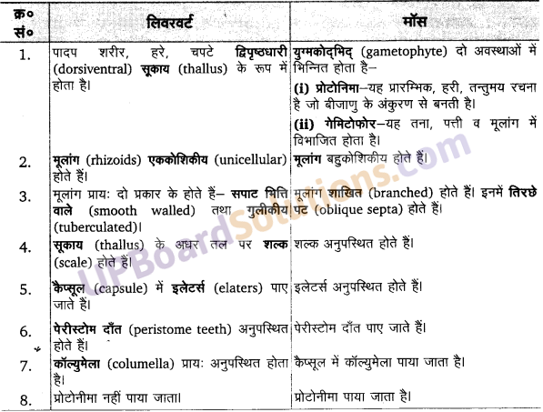 UP Board Solutions for Class 11 Biology Chapter 3 Plant Kingdom image 3