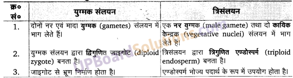 UP Board Solutions for Class 11 Biology Chapter 3 Plant Kingdom image 6