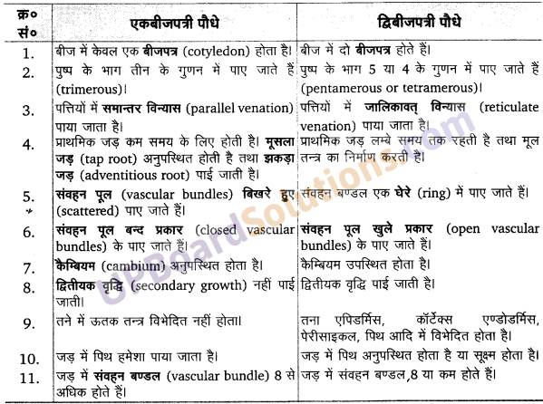 UP Board Solutions for Class 11 Biology Chapter 3 Plant Kingdom image 7