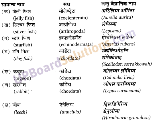 UP Board Solutions for Class 11 Biology Chapter 4 Animal Kingdom image 21