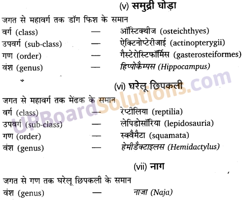 UP Board Solutions for Class 11 Biology Chapter 4 Animal Kingdom image 25