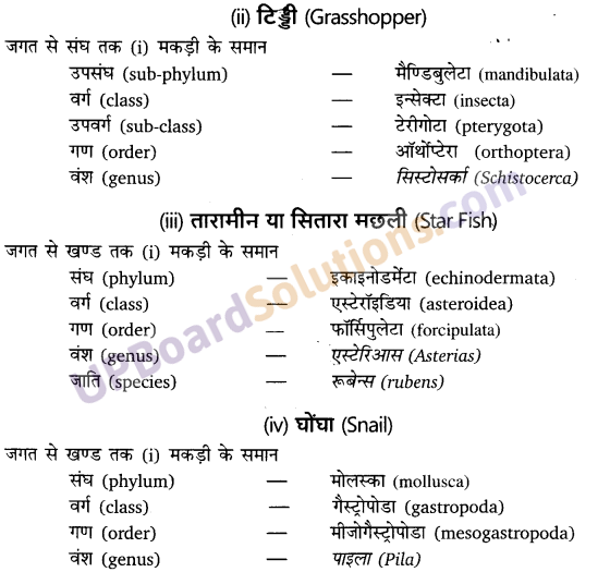 UP Board Solutions for Class 11 Biology Chapter 4 Animal Kingdom image 4