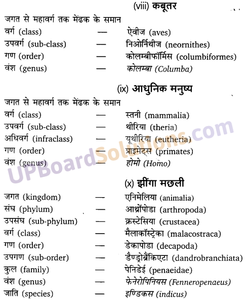 UP Board Solutions for Class 11 Biology Chapter 4 Animal Kingdom image 26