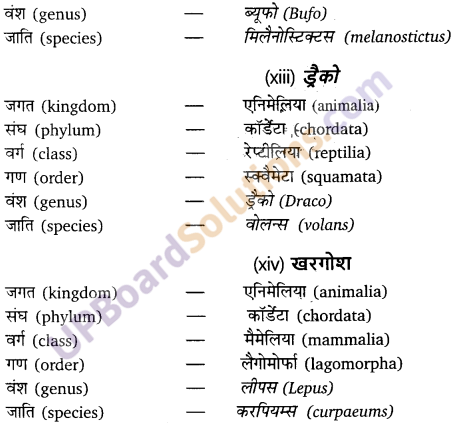 UP Board Solutions for Class 11 Biology Chapter 4 Animal Kingdom image 28