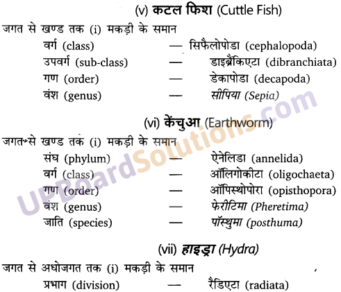 UP Board Solutions for Class 11 Biology Chapter 4 Animal Kingdom image 5