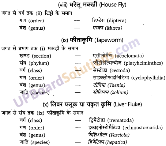 UP Board Solutions for Class 11 Biology Chapter 4 Animal Kingdom image 7