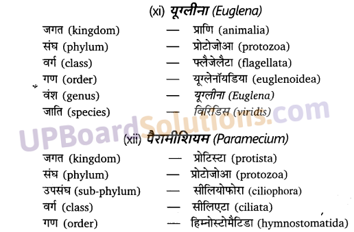 UP Board Solutions for Class 11 Biology Chapter 4 Animal Kingdom image 8